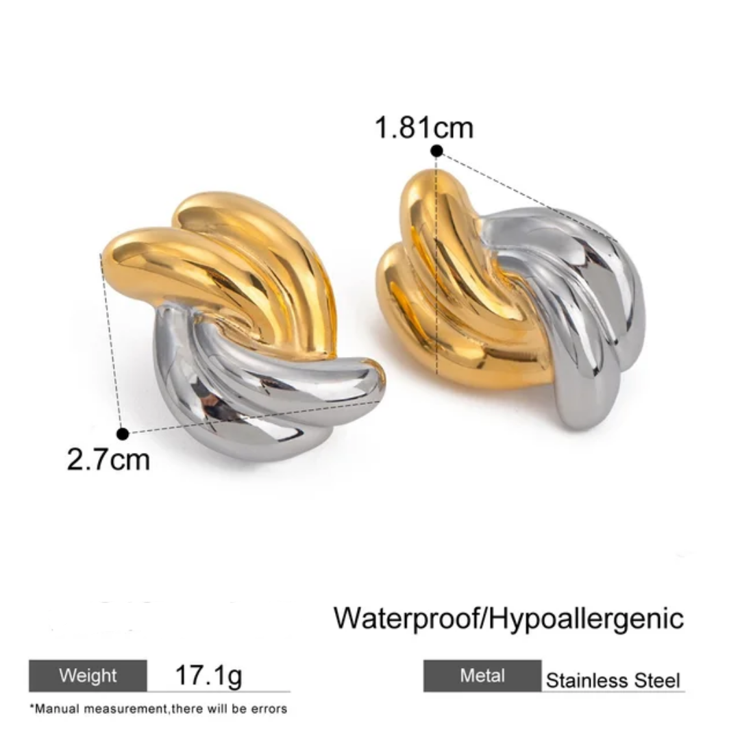 Agnes dual tone earrings