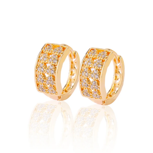 Francis zircon earrings