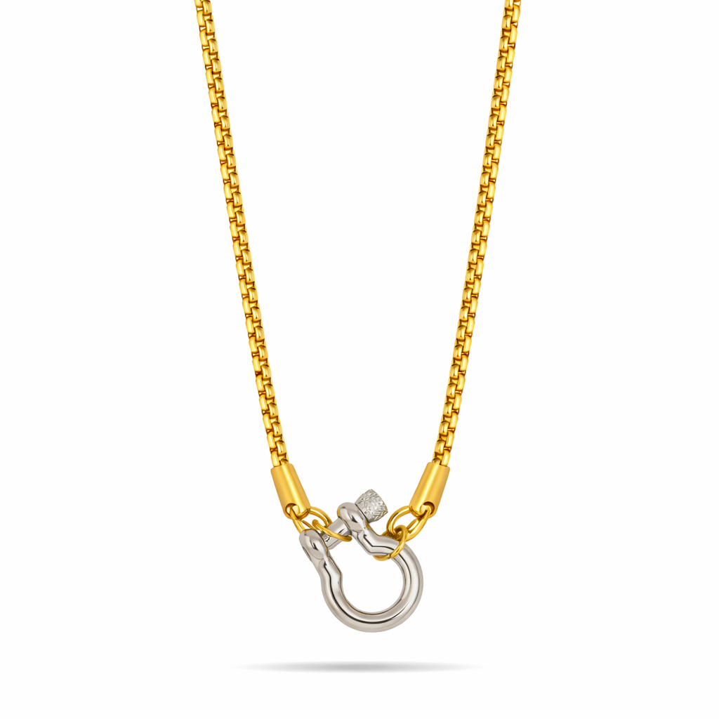 Tisa 18k Gold plated Horseshoe lock necklace with a silver clasp on a white background.