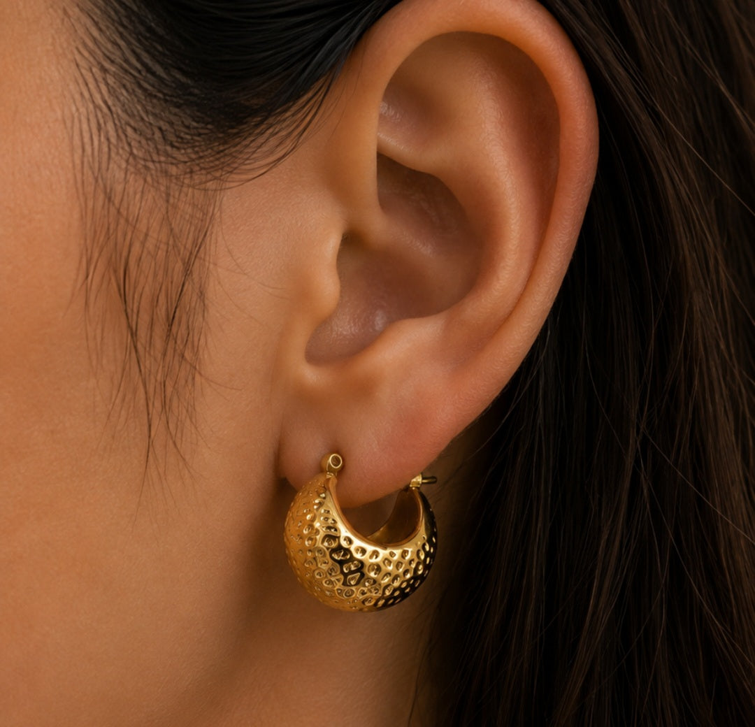 Terra Dome Hoops